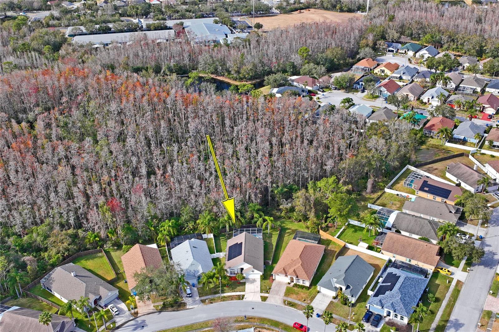 1301 HORSEMINT LN, WESLEY CHAPEL, FL, 33543