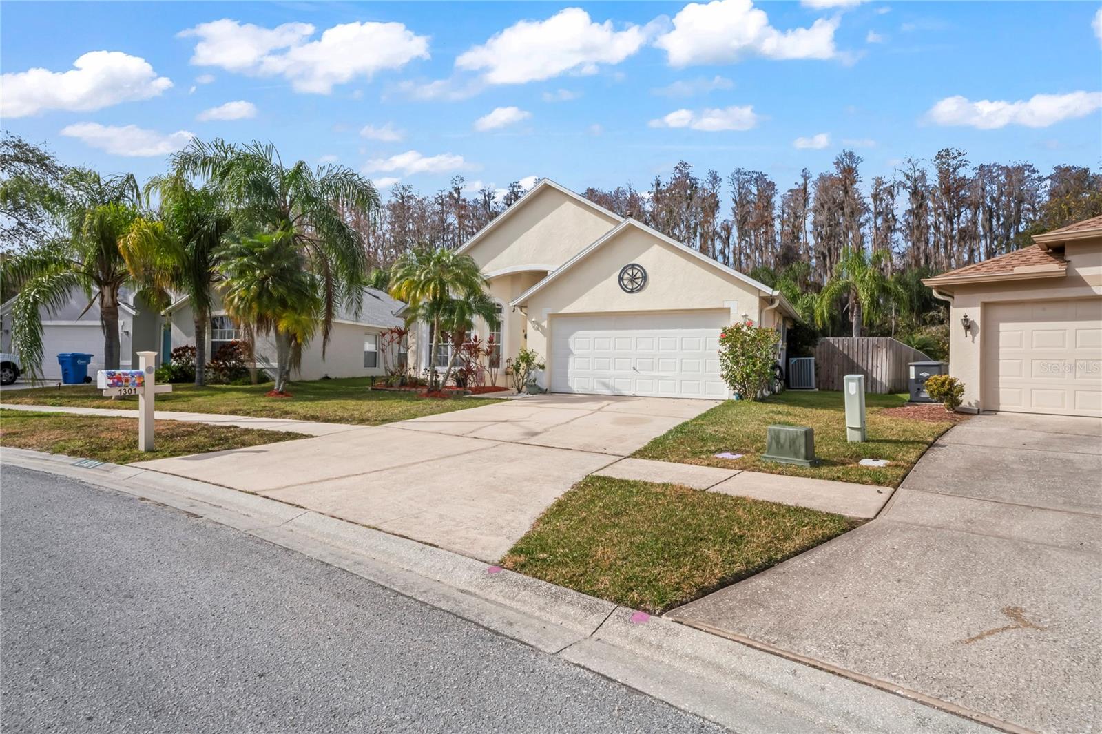 1301 HORSEMINT LN, WESLEY CHAPEL, FL, 33543