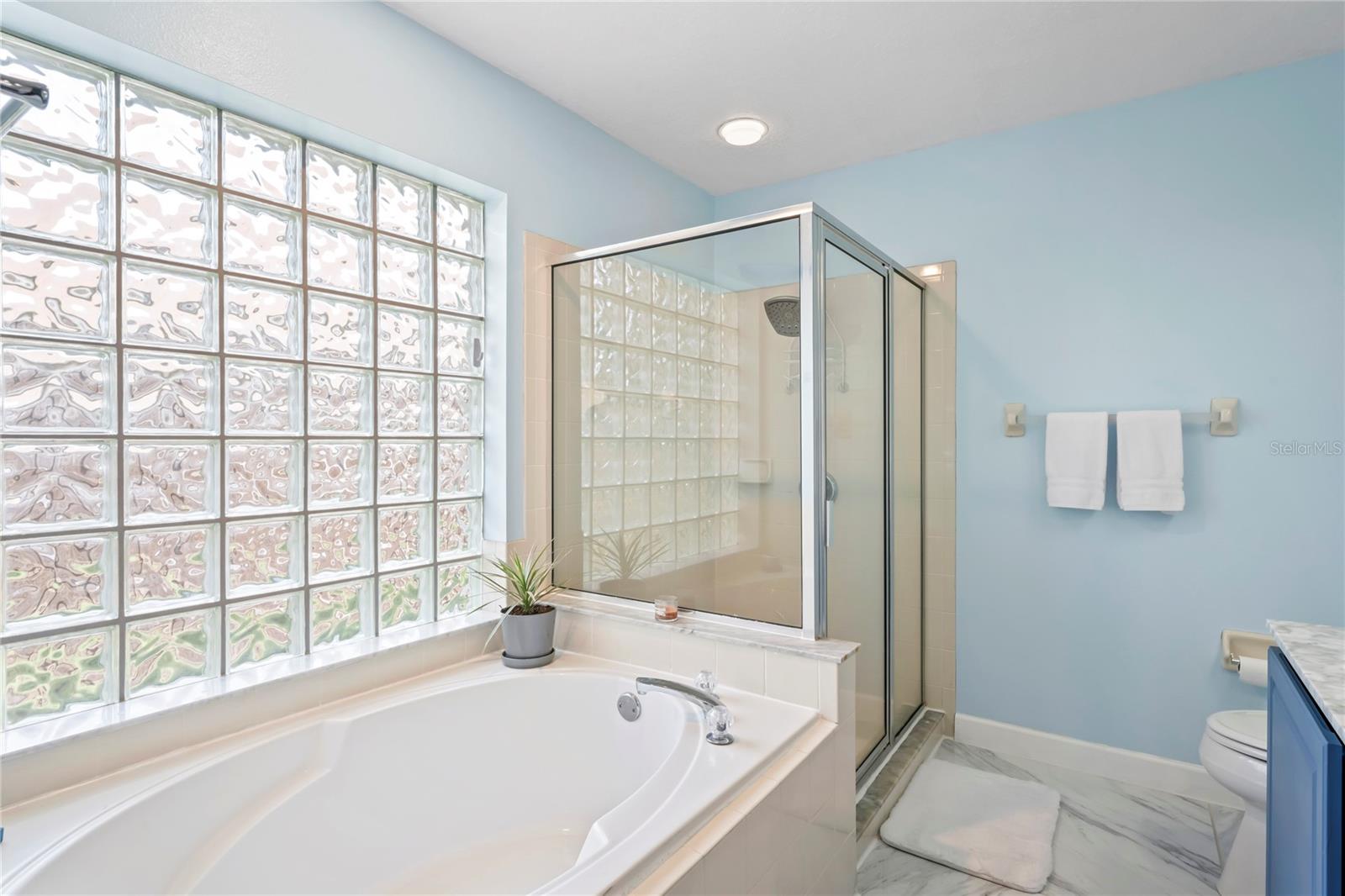 1301 HORSEMINT LN, WESLEY CHAPEL, FL, 33543
