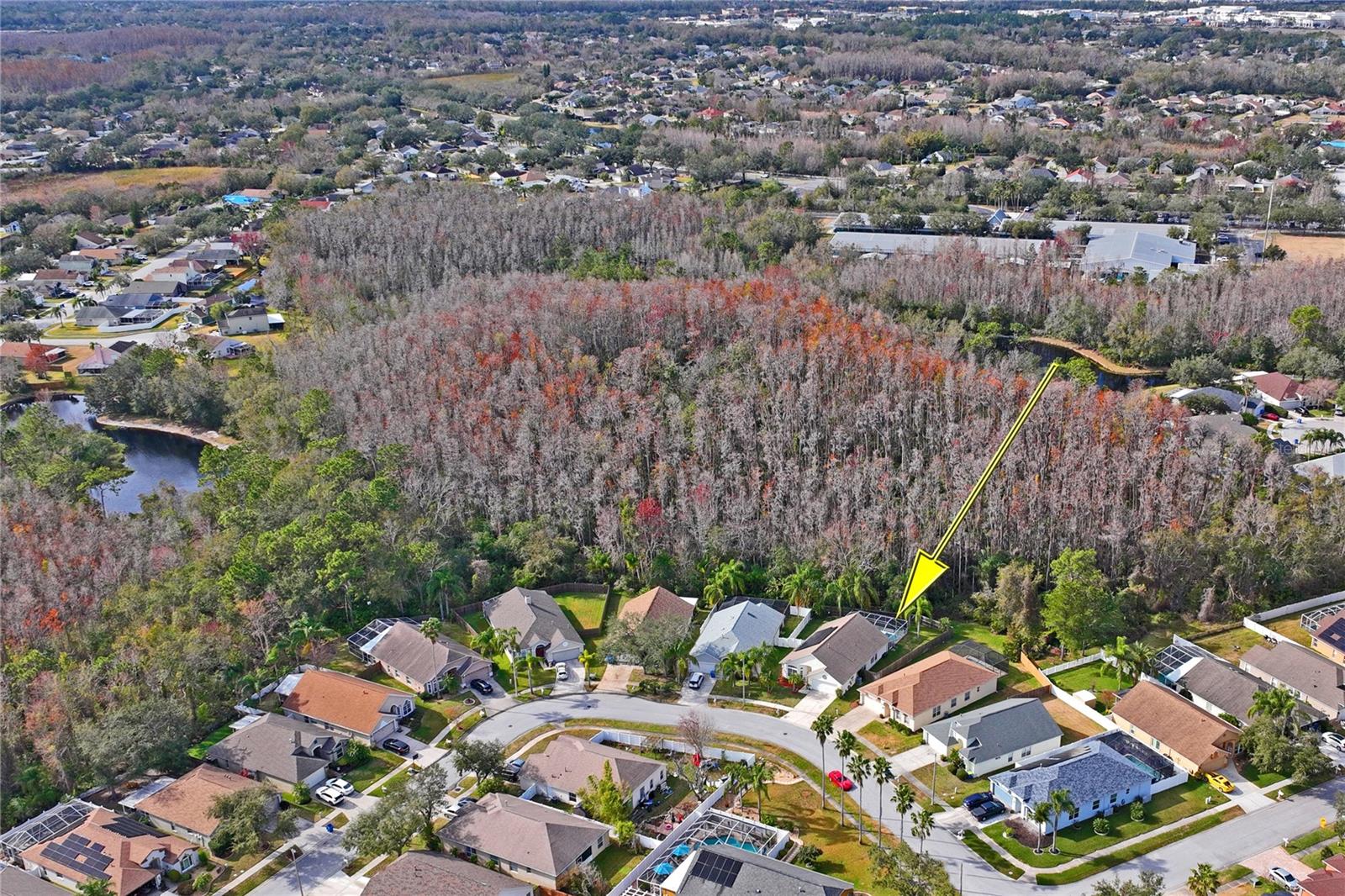 1301 HORSEMINT LN, WESLEY CHAPEL, FL, 33543