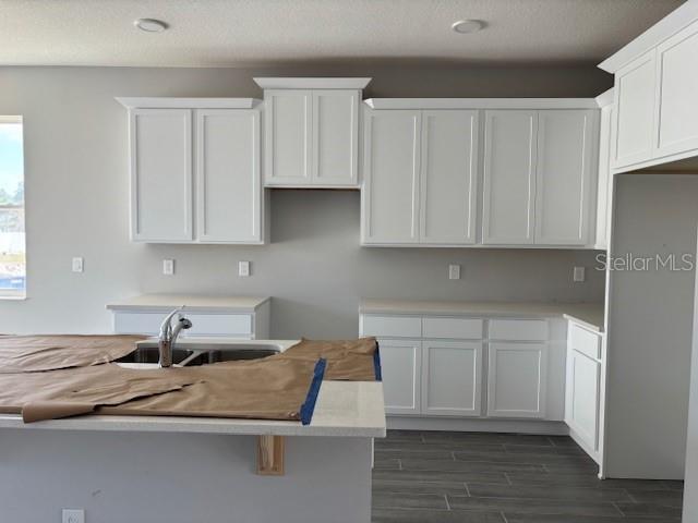 9362 BOLSHOI ALY, WINTER GARDEN, FL, 34787