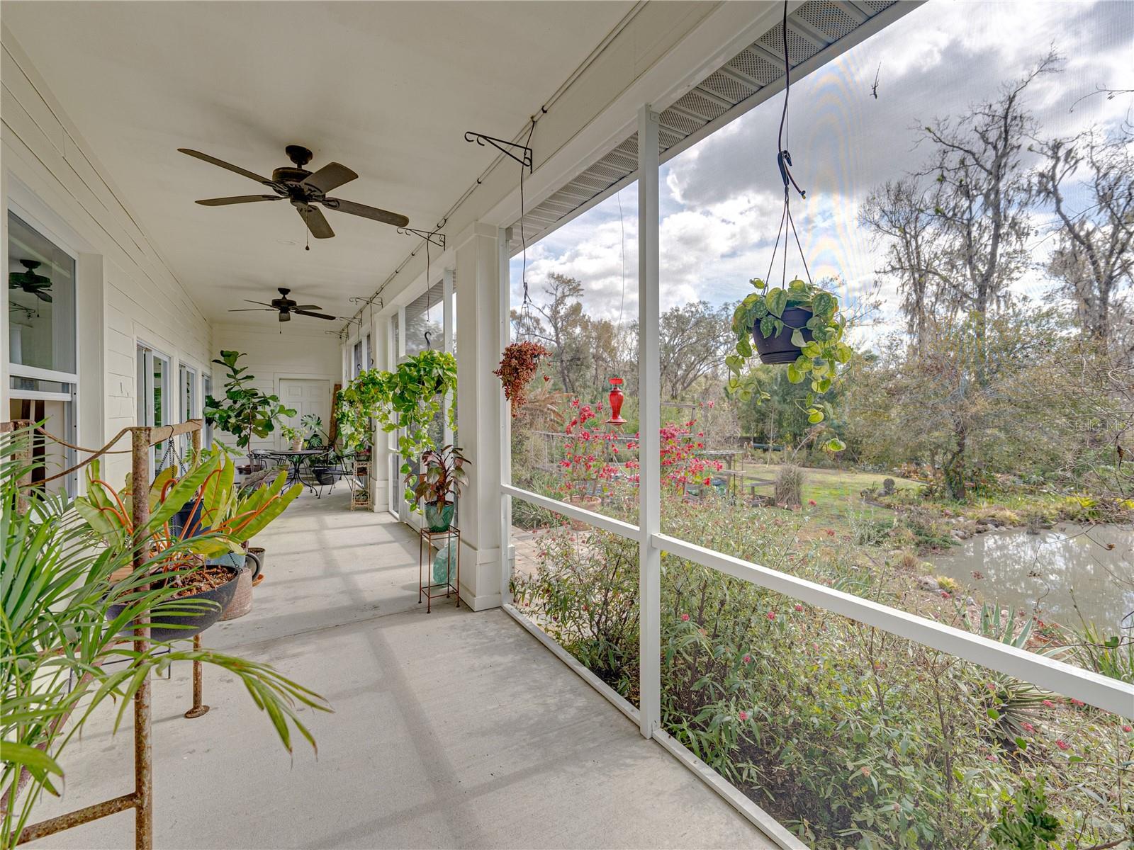 33204 DARBY TRAIL, DADE CITY, FL, 33525