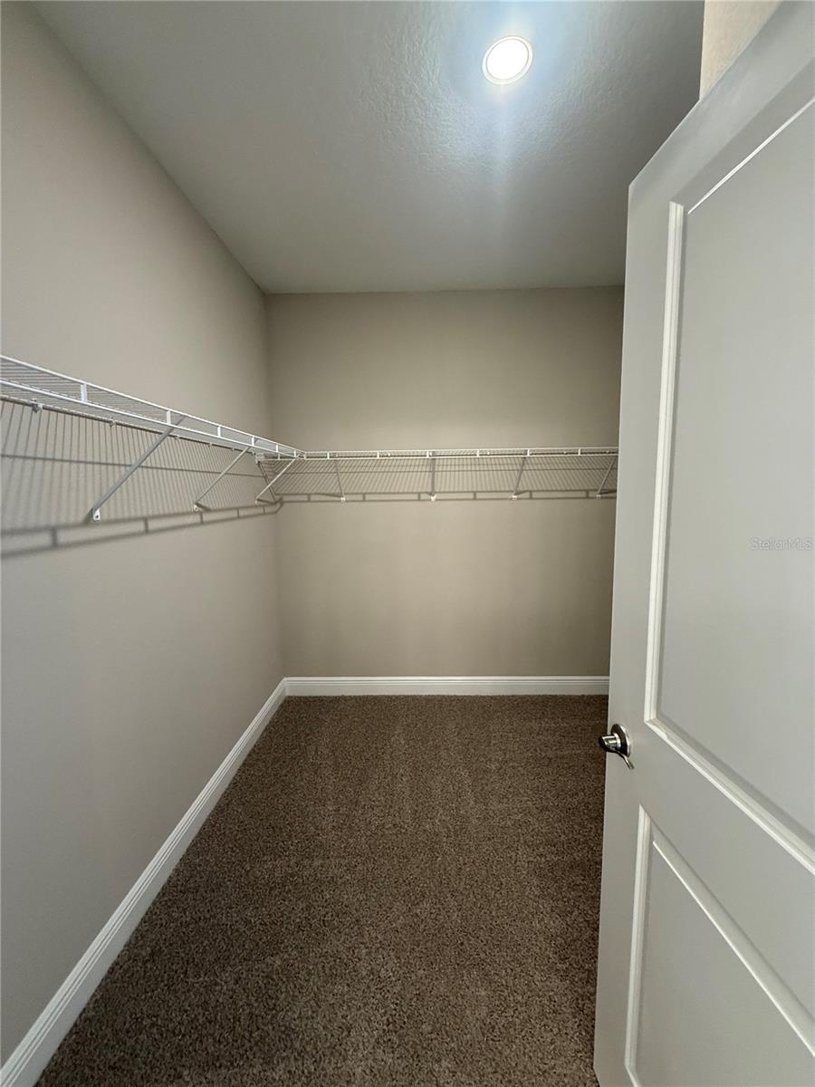 4879 CORAL BEAN ALY, WINTER GARDEN, FL, 34787