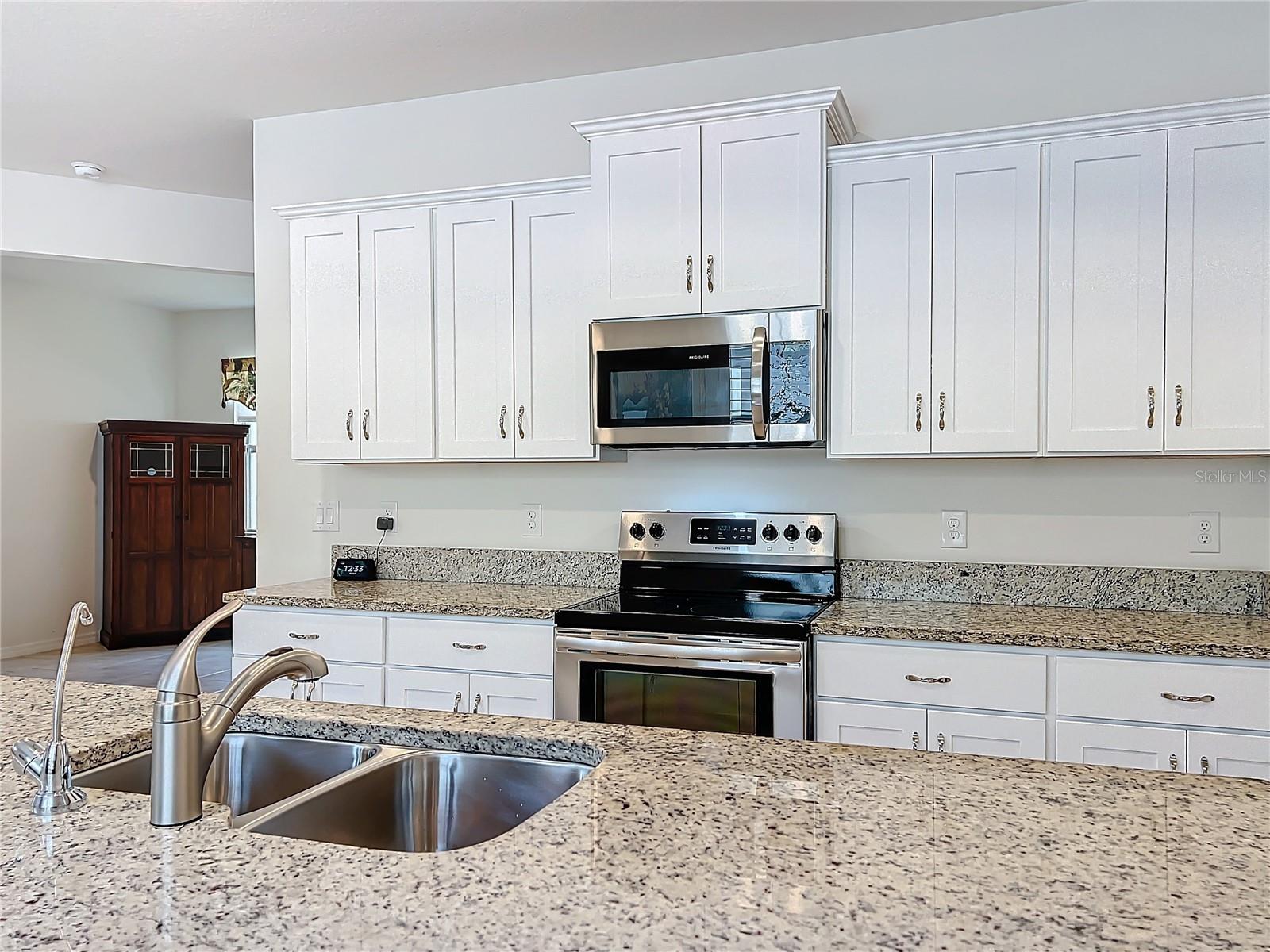 17313 BLAZING STAR CIR, CLERMONT, FL, 34714
