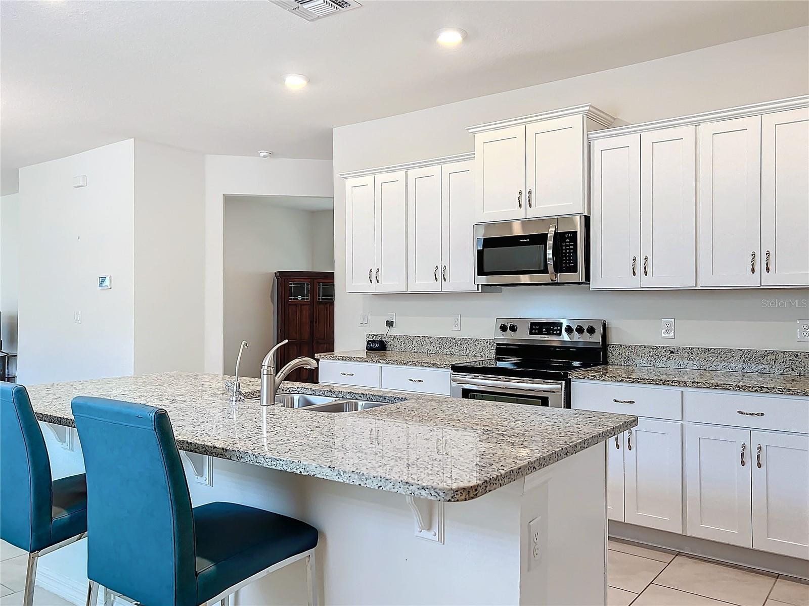 17313 BLAZING STAR CIR, CLERMONT, FL, 34714