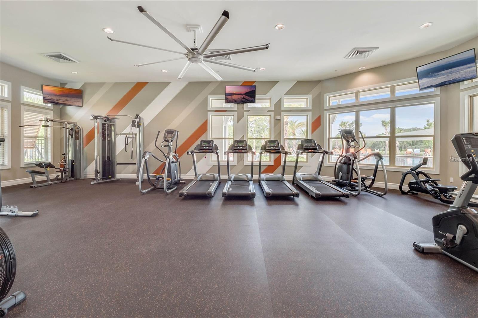 17313 BLAZING STAR CIR, CLERMONT, FL, 34714