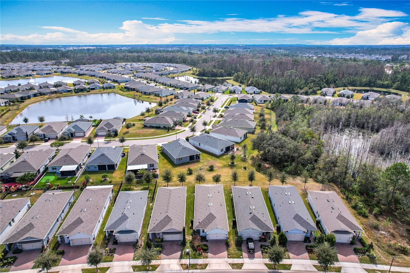 17313 BLAZING STAR CIR, CLERMONT, FL, 34714