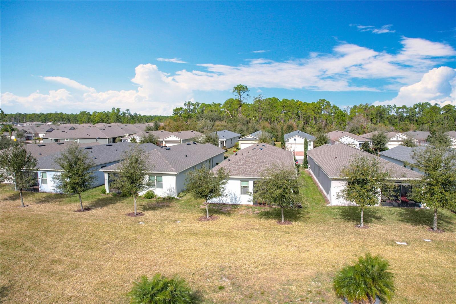 17313 BLAZING STAR CIR, CLERMONT, FL, 34714
