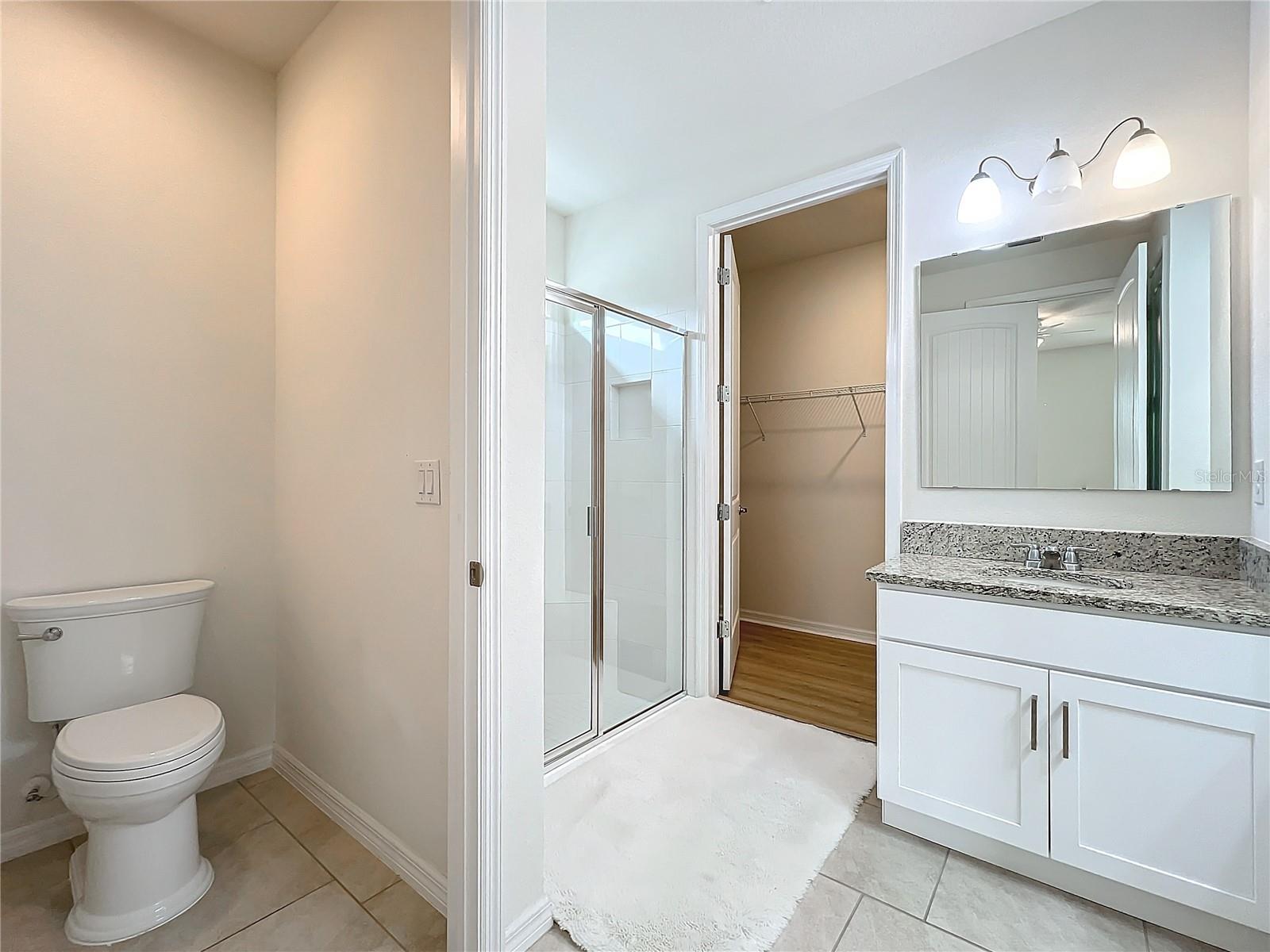 17313 BLAZING STAR CIR, CLERMONT, FL, 34714