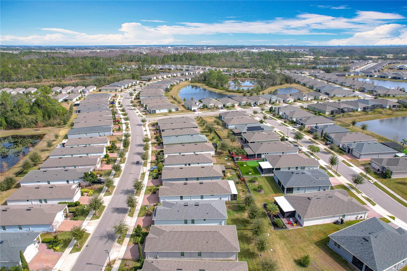 17313 BLAZING STAR CIR, CLERMONT, FL, 34714