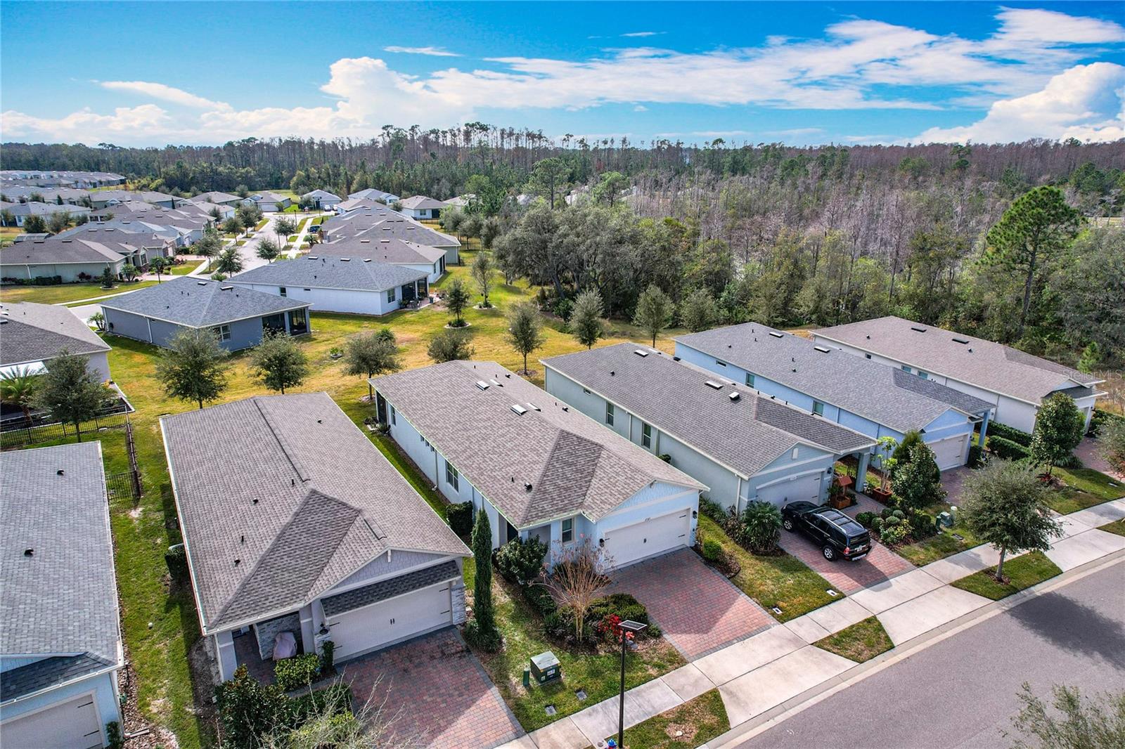 17313 BLAZING STAR CIR, CLERMONT, FL, 34714