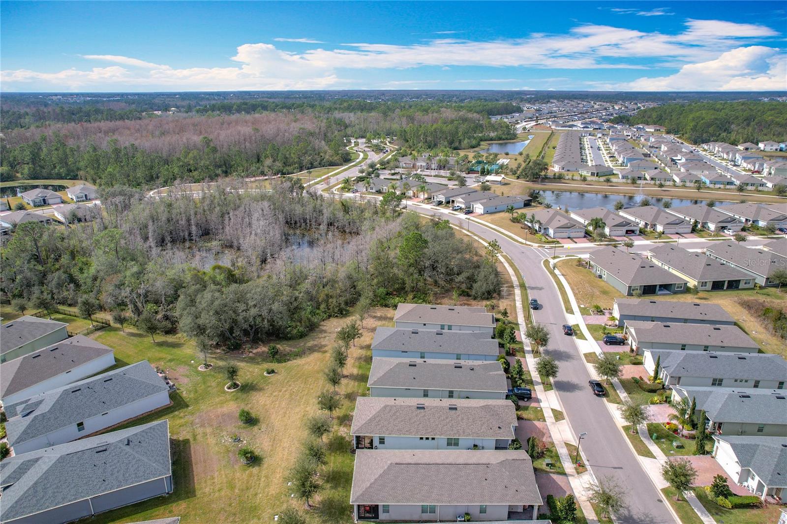 17313 BLAZING STAR CIR, CLERMONT, FL, 34714