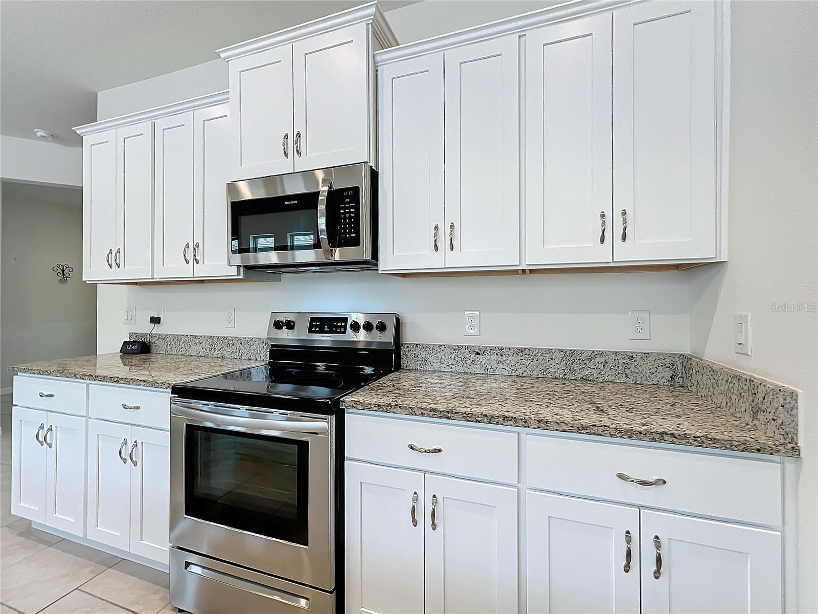 17313 BLAZING STAR CIR, CLERMONT, FL, 34714