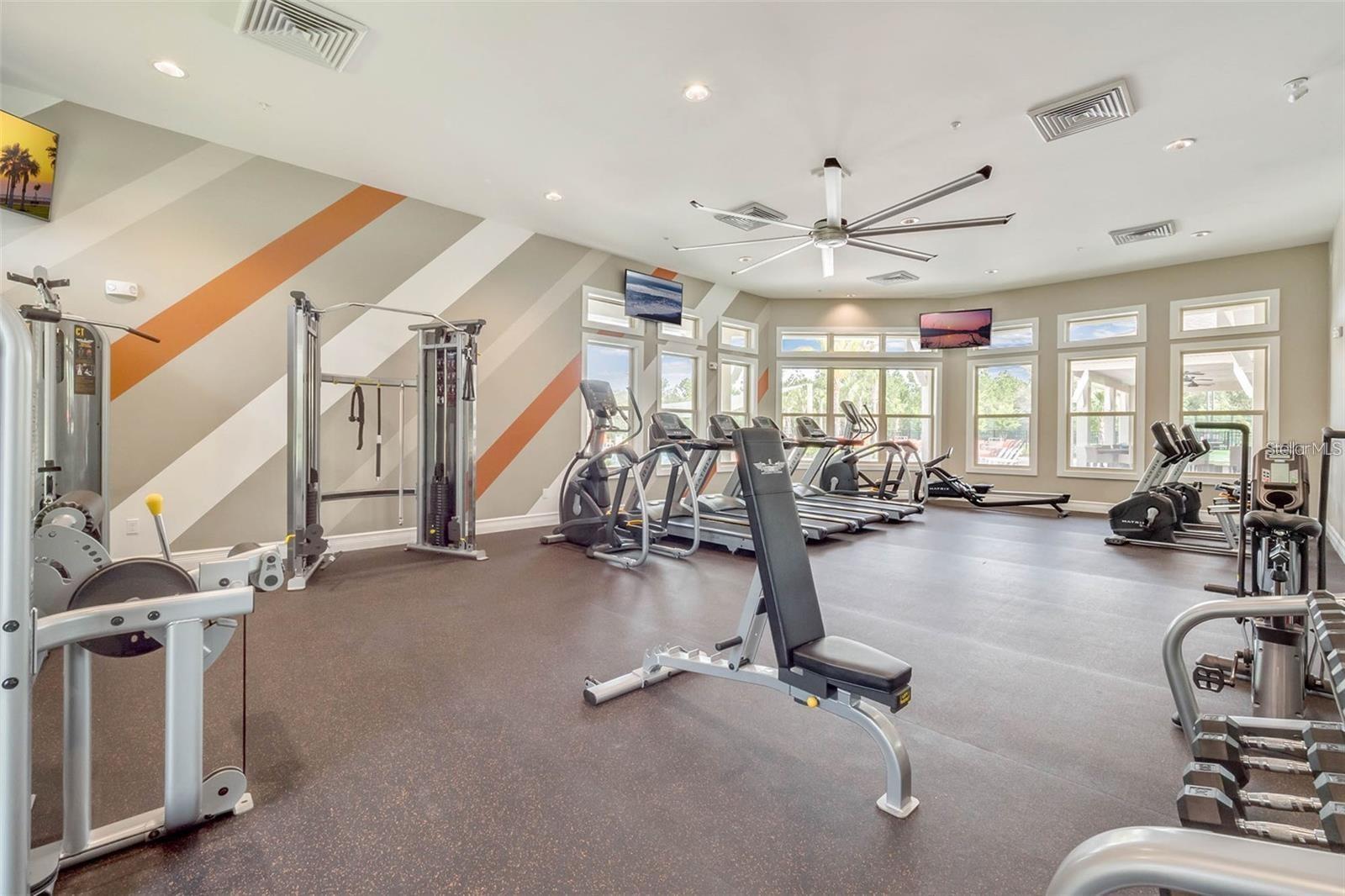 17313 BLAZING STAR CIR, CLERMONT, FL, 34714