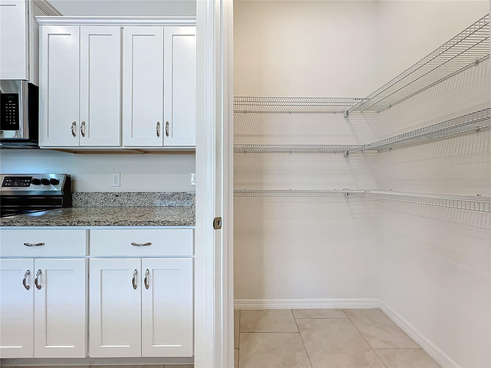 17313 BLAZING STAR CIR, CLERMONT, FL, 34714