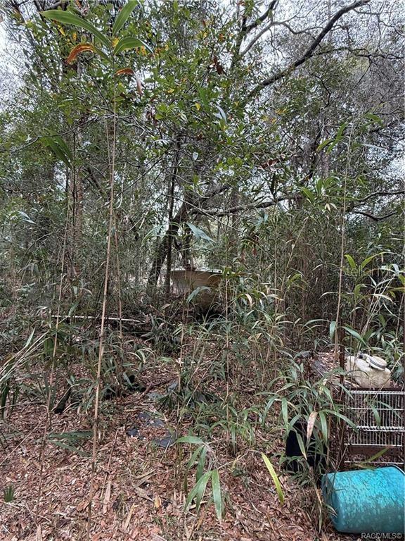 9530 W HEREFORD LN, CRYSTAL RIVER, FL, 34428