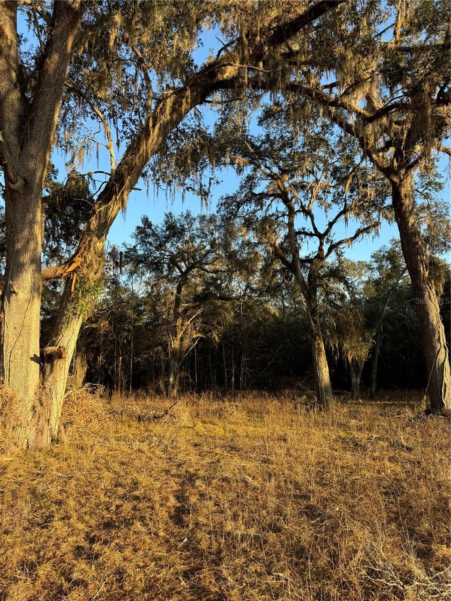 187 SW MCGRIFF LN, LAKE CITY, FL, 32024