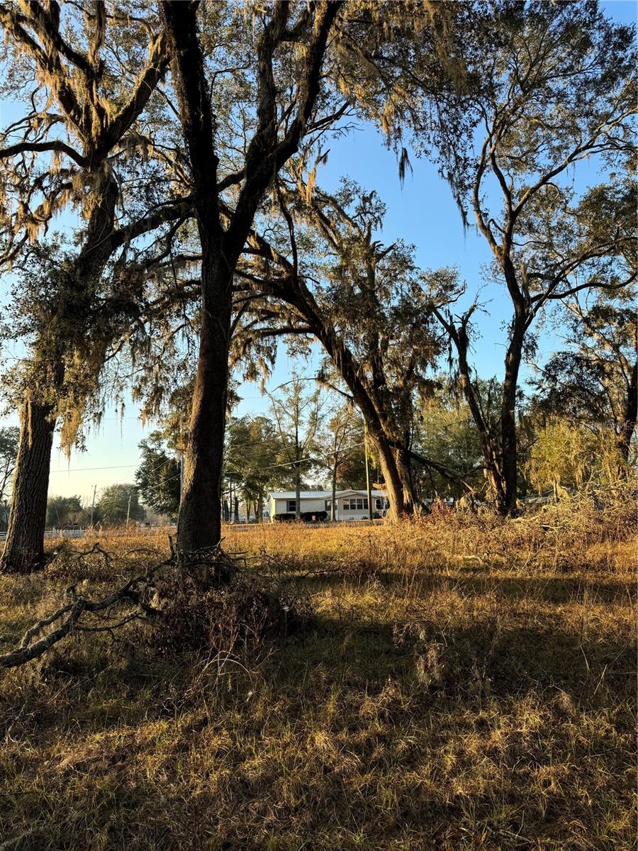 187 SW MCGRIFF LN, LAKE CITY, FL, 32024