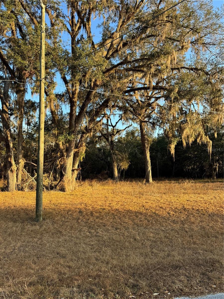 187 SW MCGRIFF LN, LAKE CITY, FL, 32024