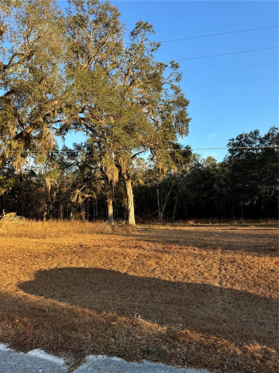 187 SW MCGRIFF LN, LAKE CITY, FL, 32024