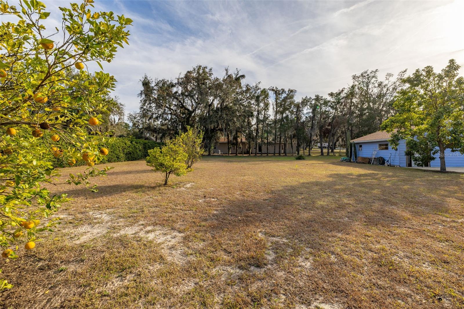 3808 PICCIOLA RD, LEESBURG, FL, 34748