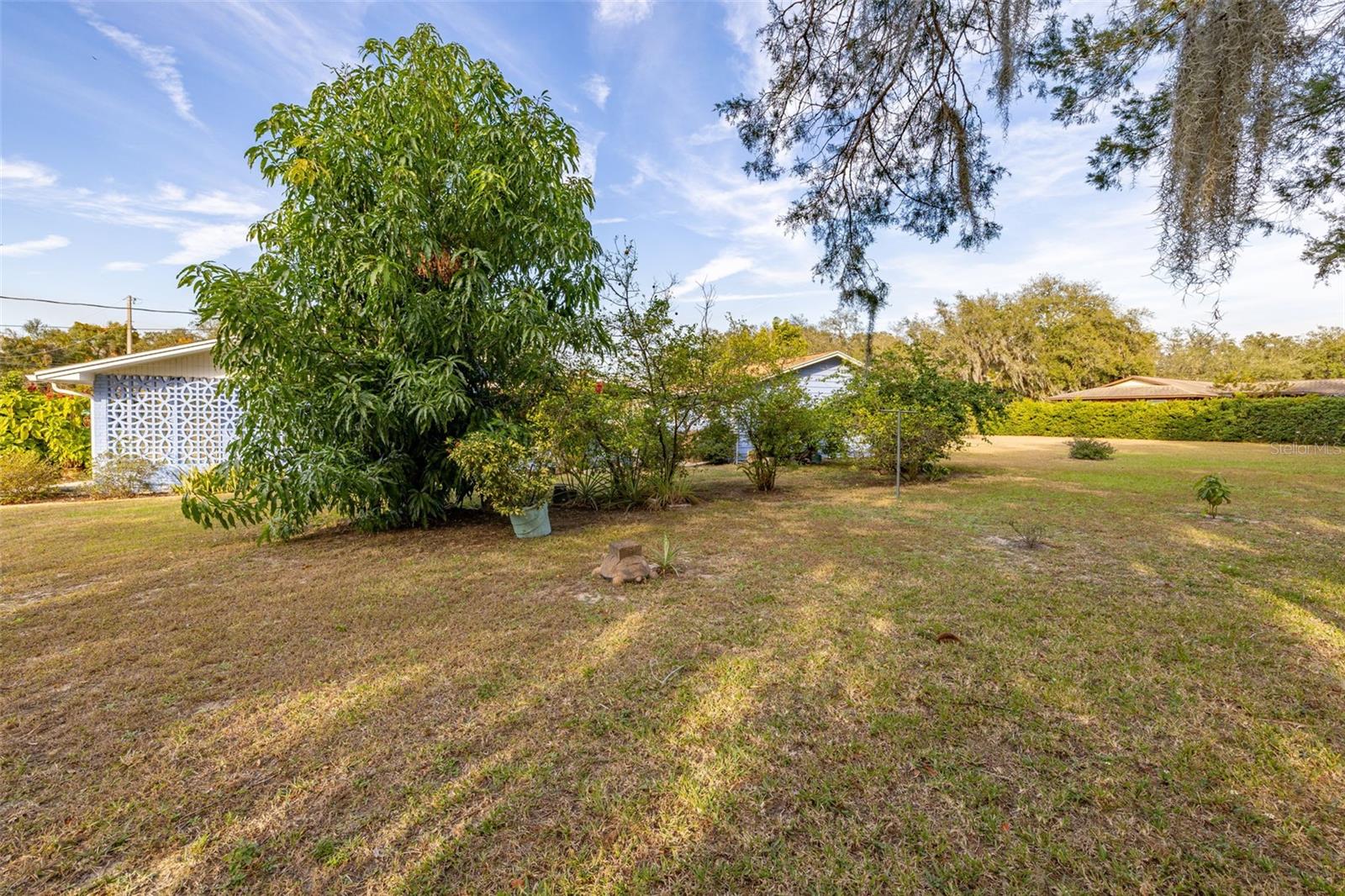 3808 PICCIOLA RD, LEESBURG, FL, 34748