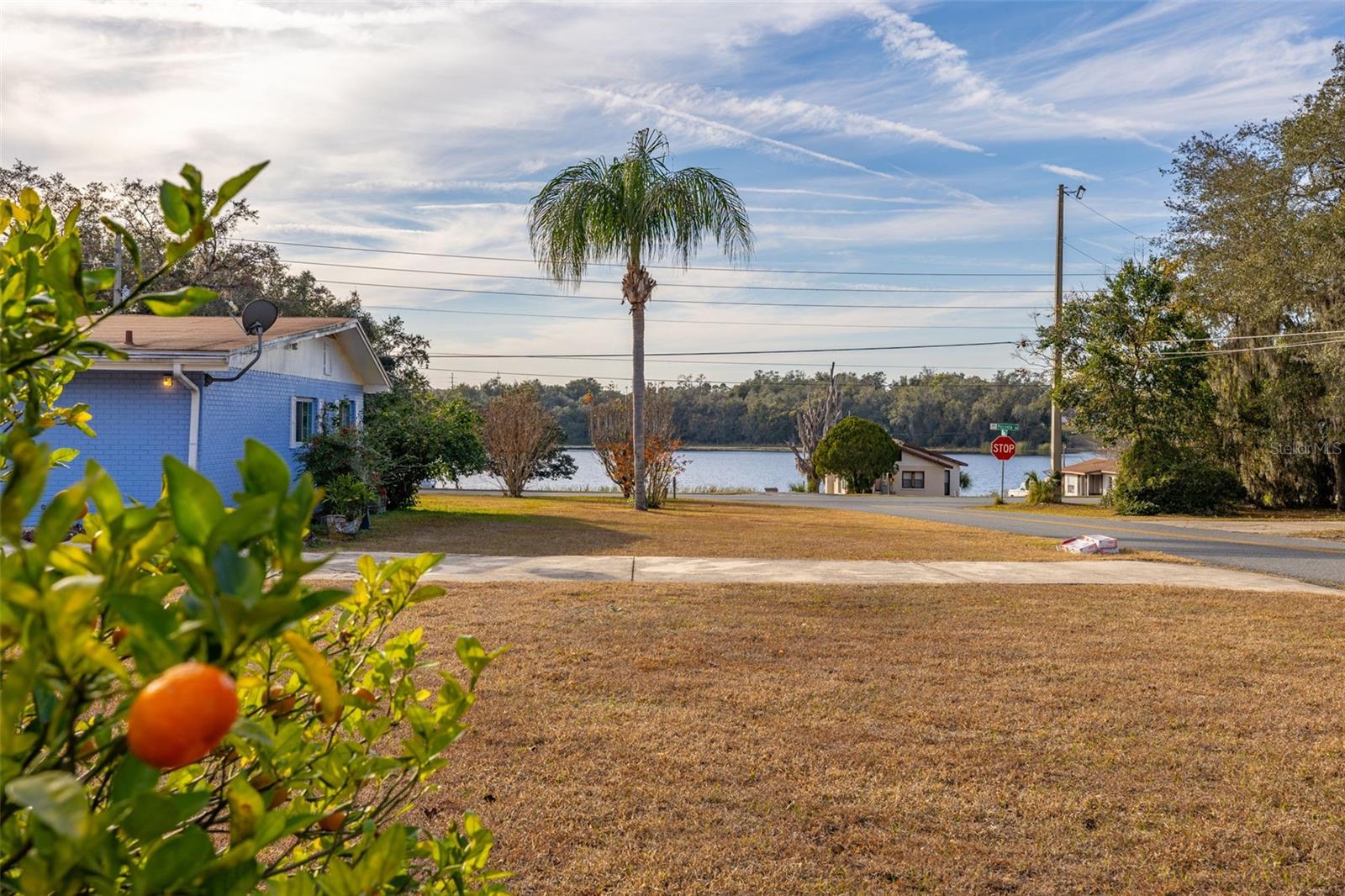 3808 PICCIOLA RD, LEESBURG, FL, 34748