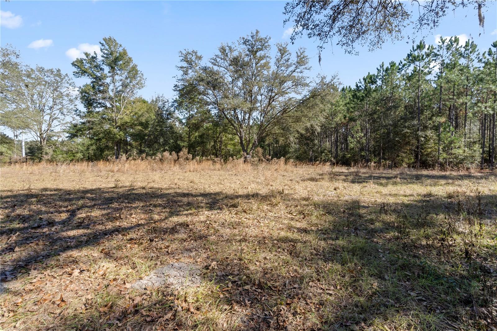 14109 SW 134TH TER, ARCHER, FL, 32618