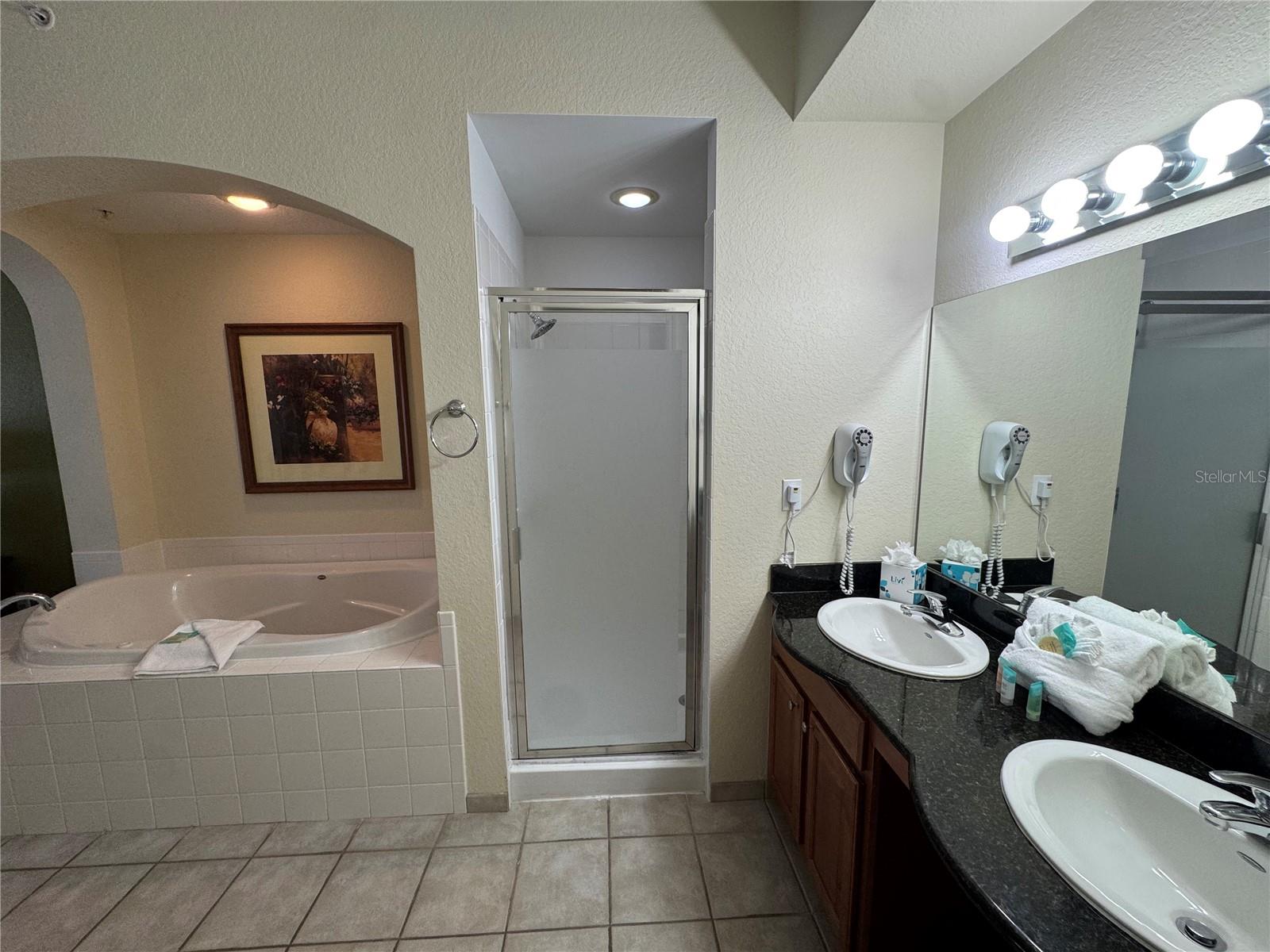 8101 RESORT VILLAGE DR #3904, ORLANDO, FL, 32821