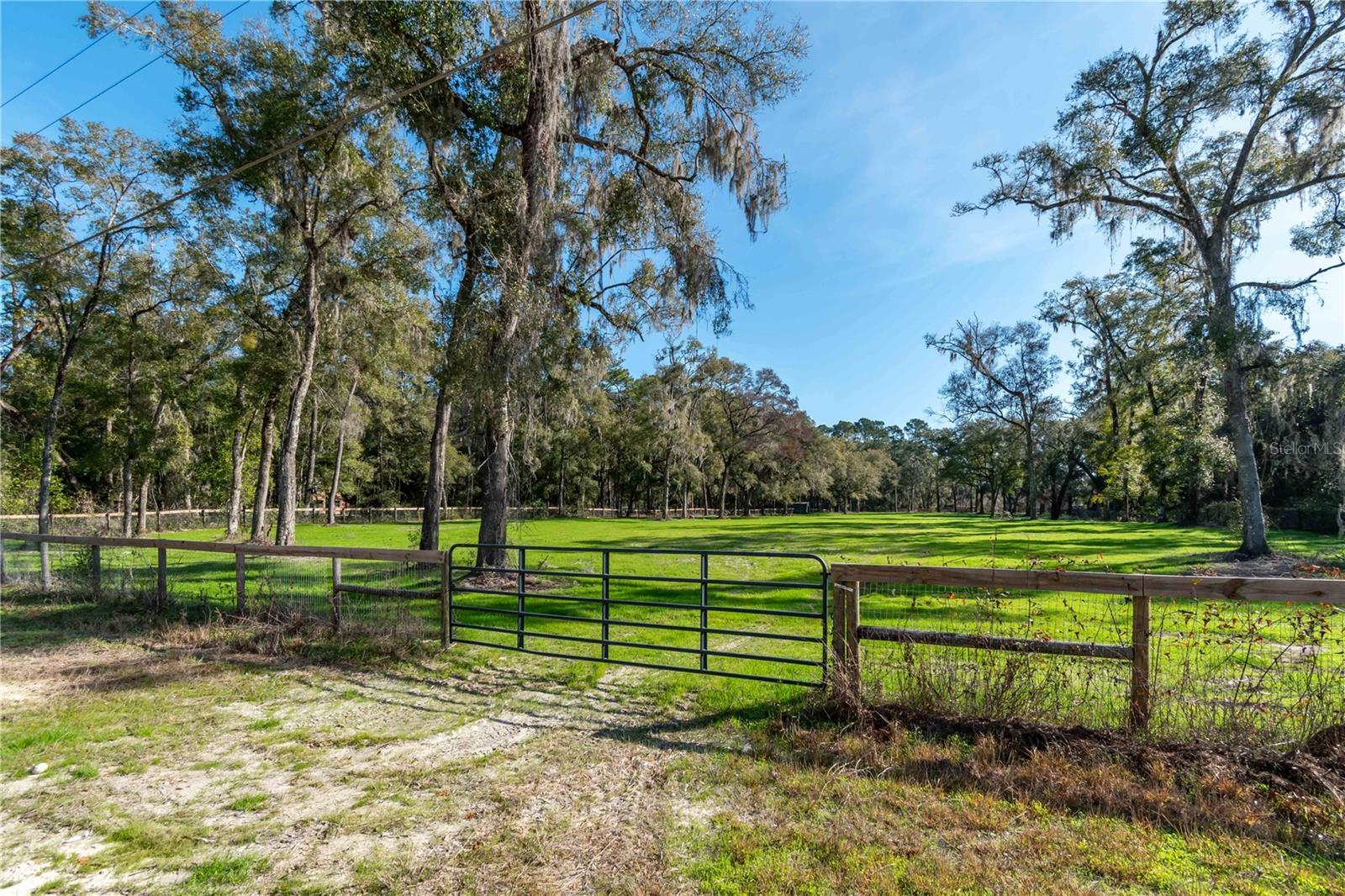 555 NW 125TH AVE, OCALA, FL, 34482