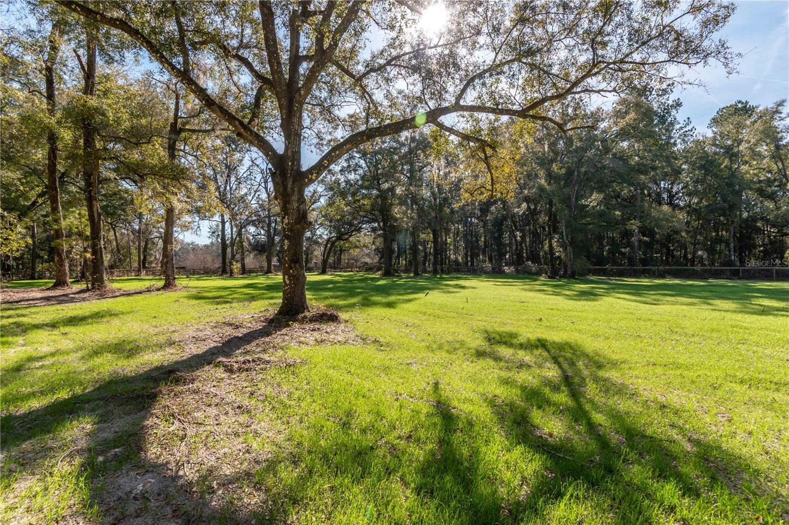 555 NW 125TH AVE, OCALA, FL, 34482