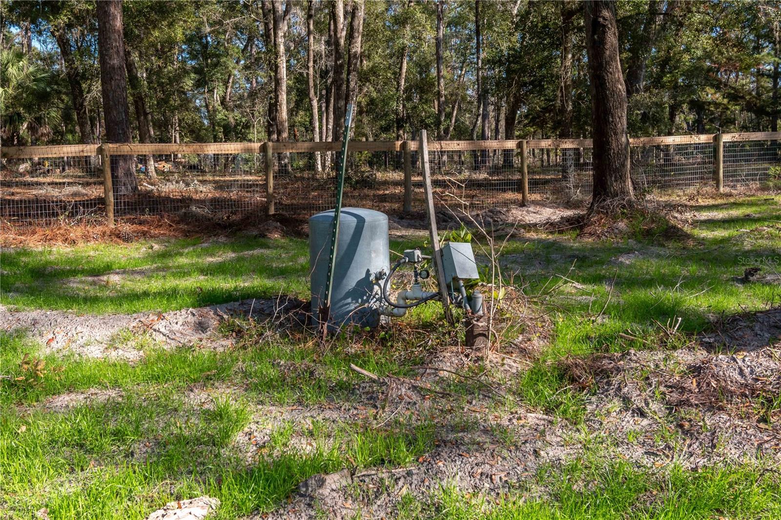 555 NW 125TH AVE, OCALA, FL, 34482