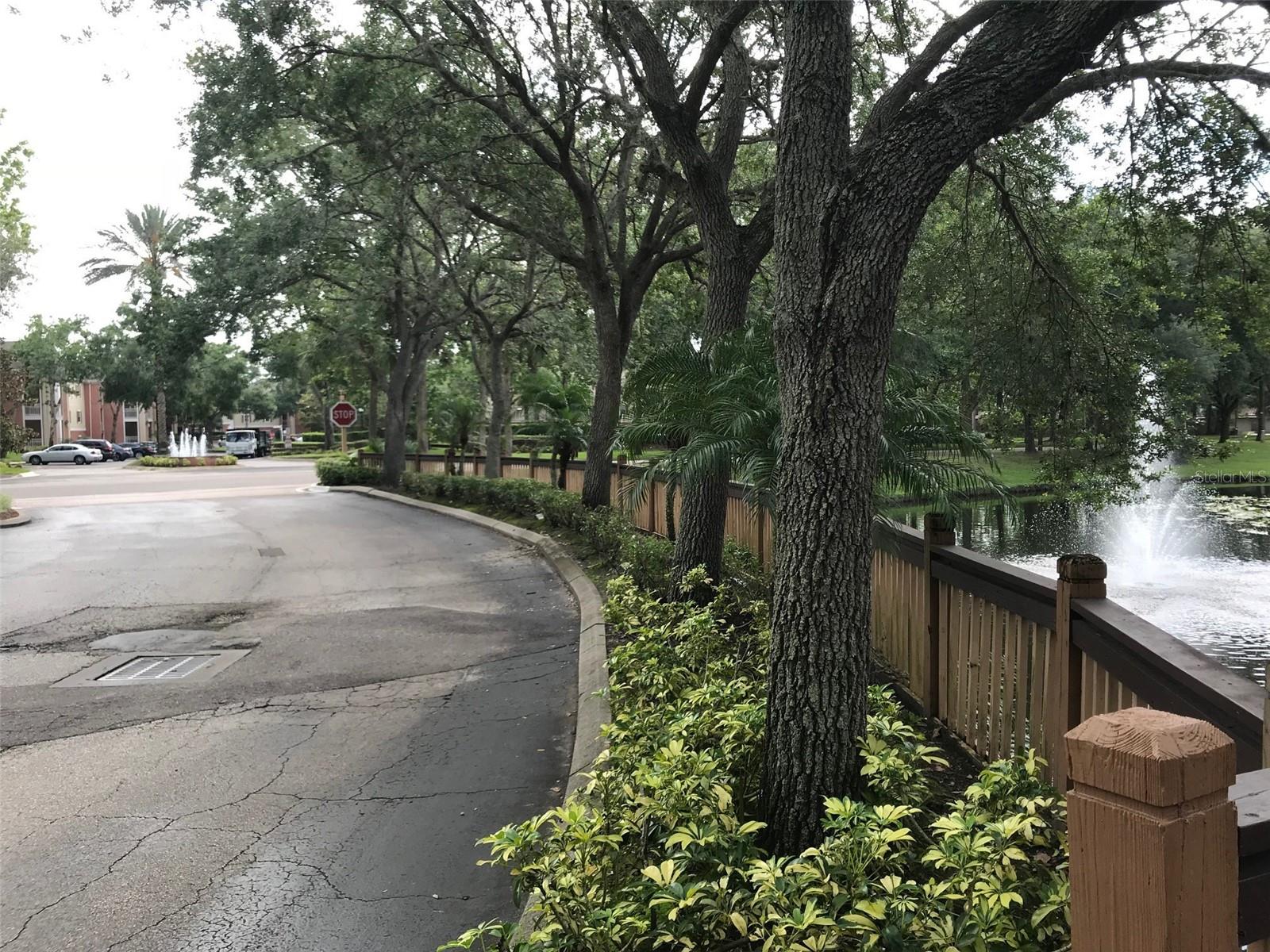 494 N PIN OAK PL #202, LONGWOOD, FL, 32779
