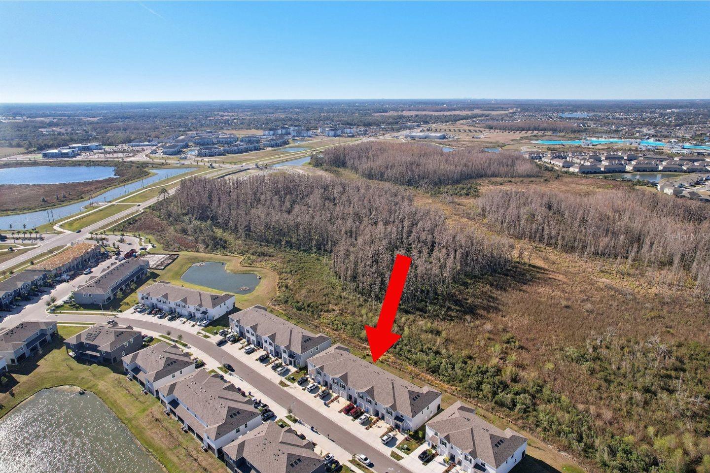 32241 TURTLE GRACE LOOP, WESLEY CHAPEL, FL, 33545