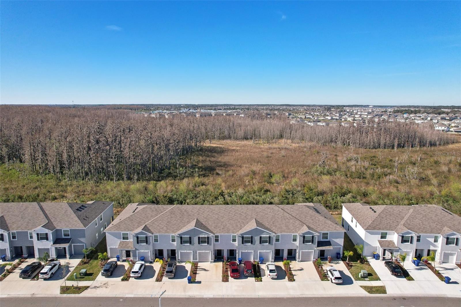 32241 TURTLE GRACE LOOP, WESLEY CHAPEL, FL, 33545