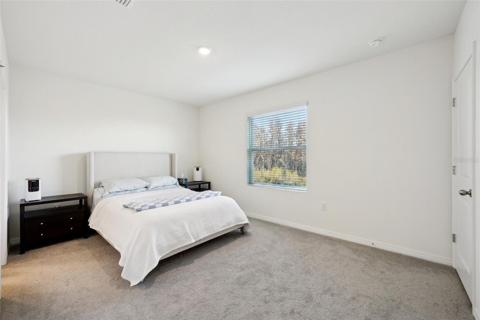 32241 TURTLE GRACE LOOP, WESLEY CHAPEL, FL, 33545