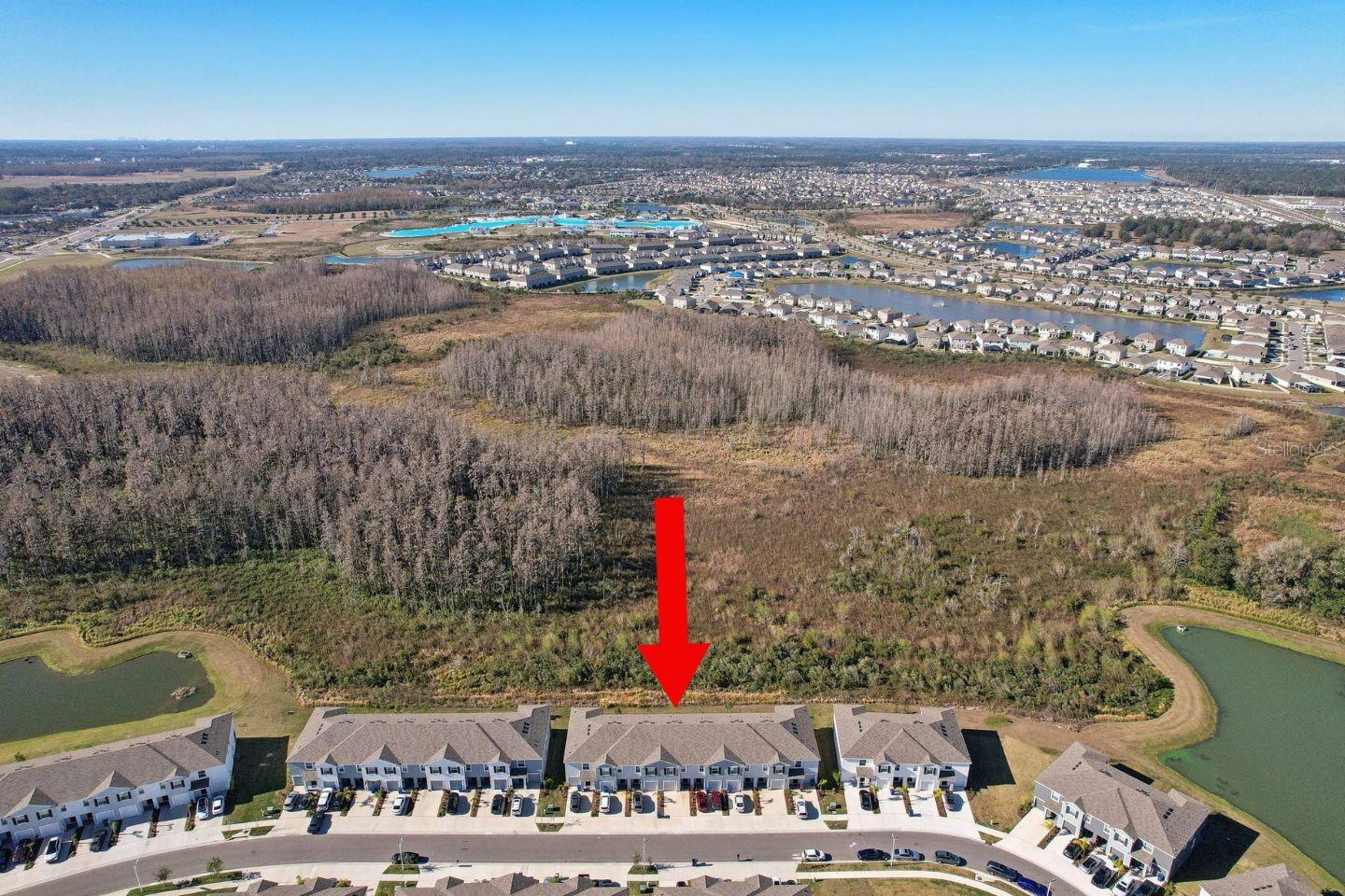 32241 TURTLE GRACE LOOP, WESLEY CHAPEL, FL, 33545