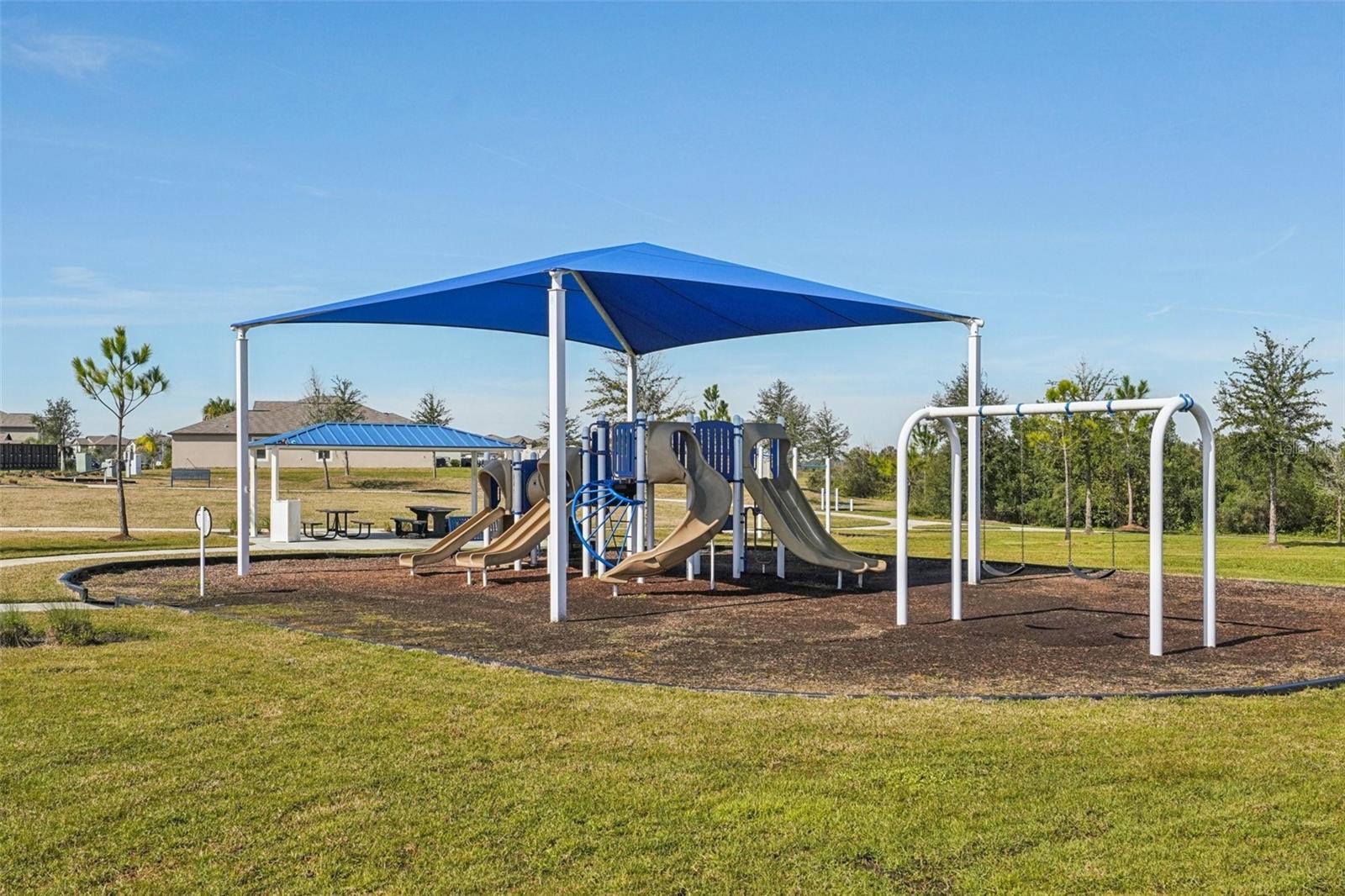 32241 TURTLE GRACE LOOP, WESLEY CHAPEL, FL, 33545