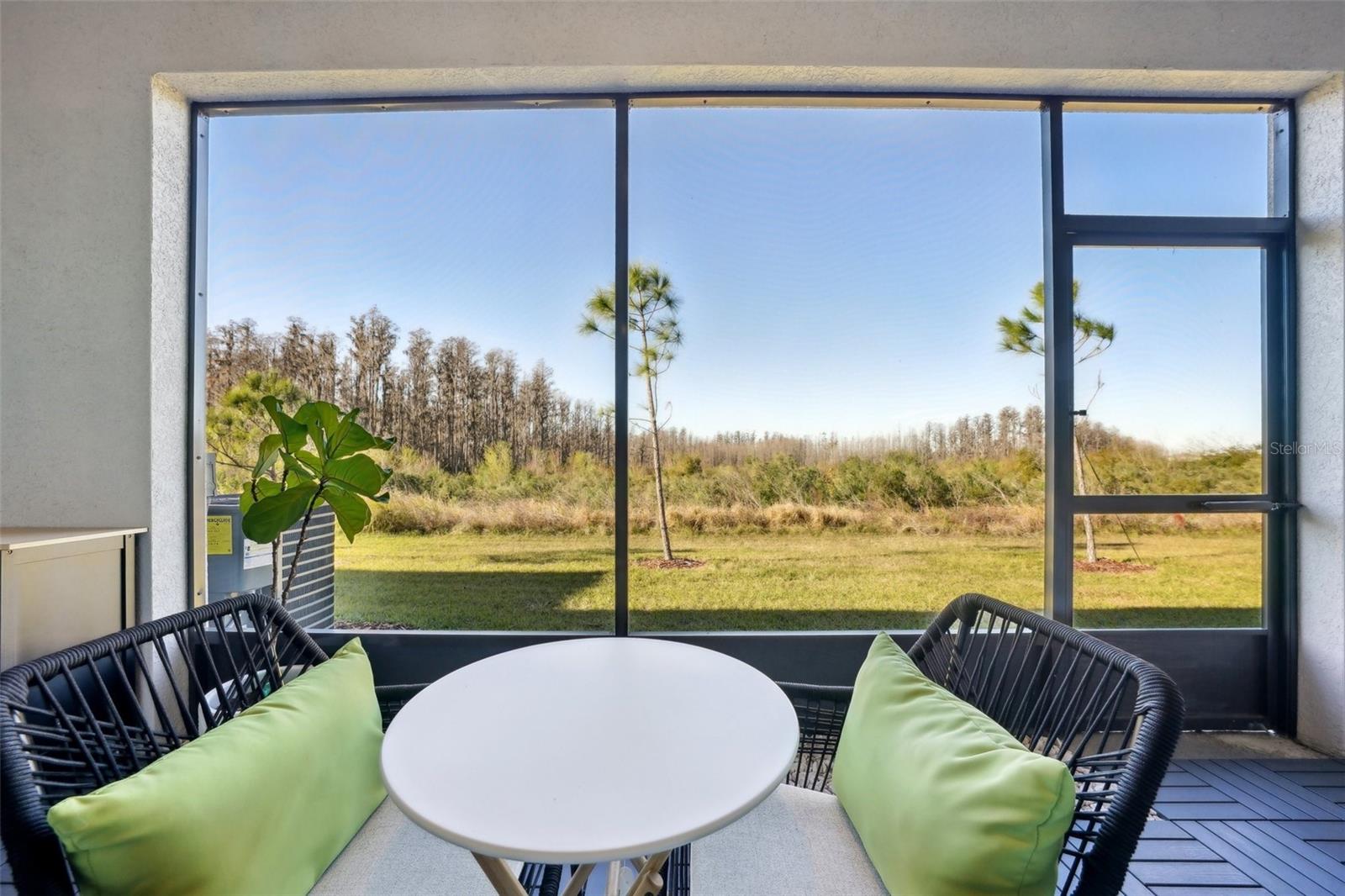 32241 TURTLE GRACE LOOP, WESLEY CHAPEL, FL, 33545
