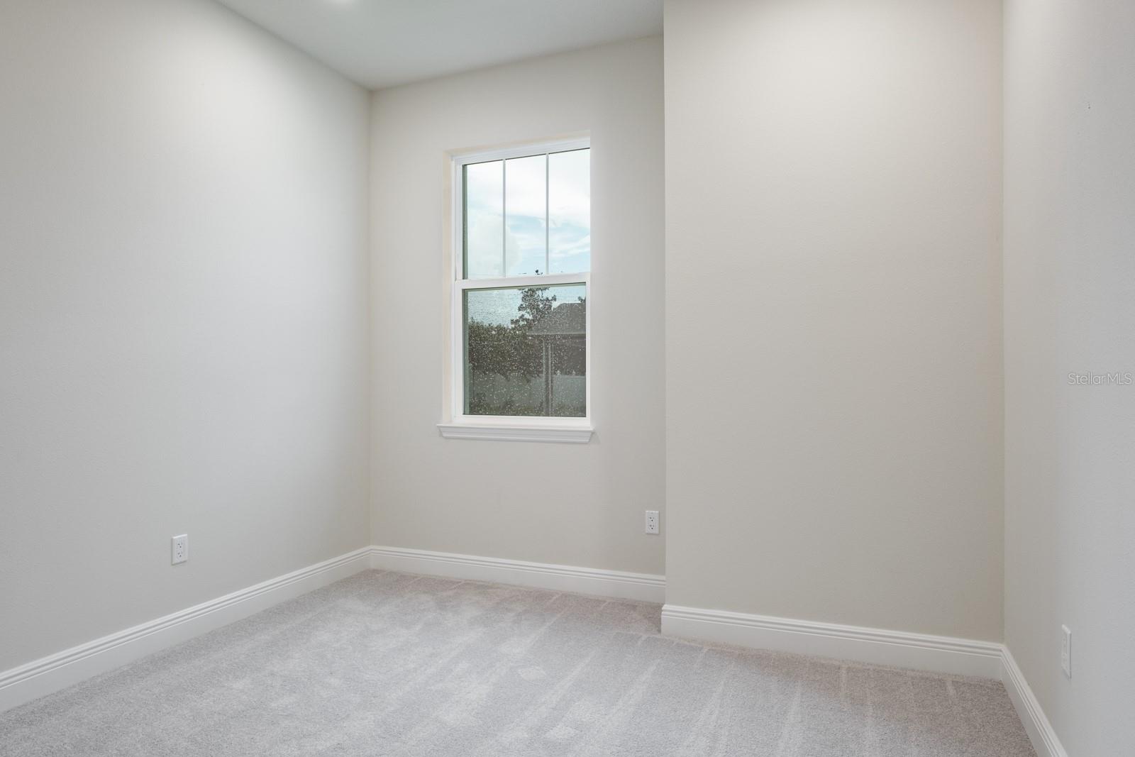 2569 MARIO WAY, CLEARWATER, FL, 33761