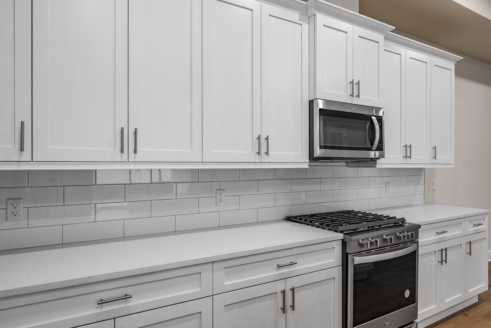 2569 MARIO WAY, CLEARWATER, FL, 33761