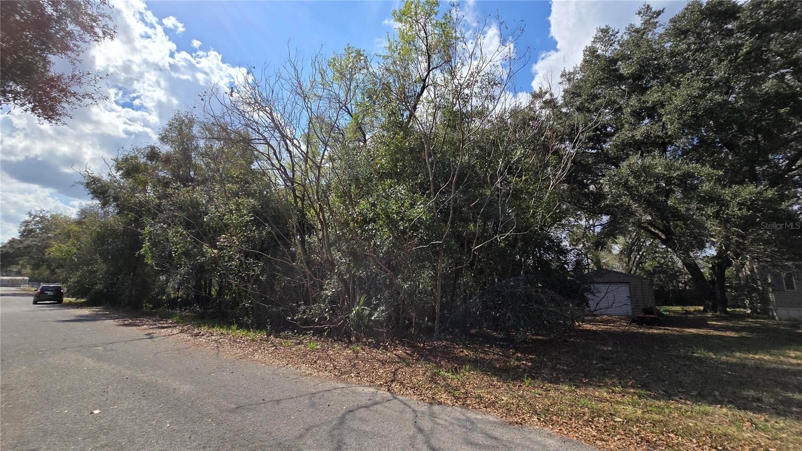 SE 94TH CT, SUMMERFIELD, FL, 34491