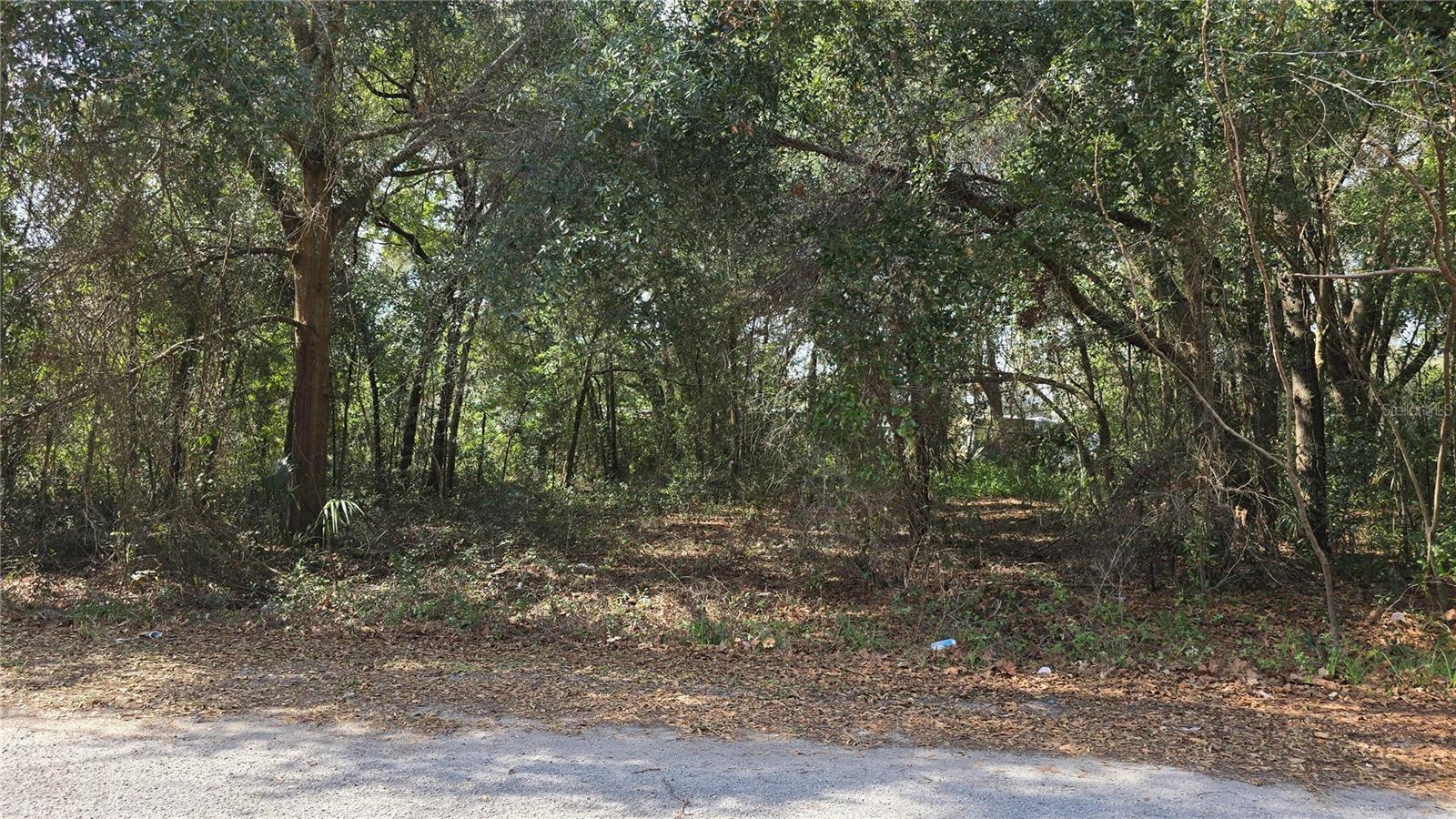 SE 94TH CT, SUMMERFIELD, FL, 34491