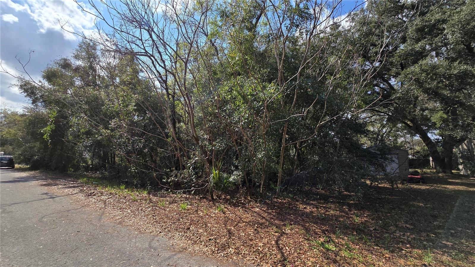 SE 94TH CT, SUMMERFIELD, FL, 34491