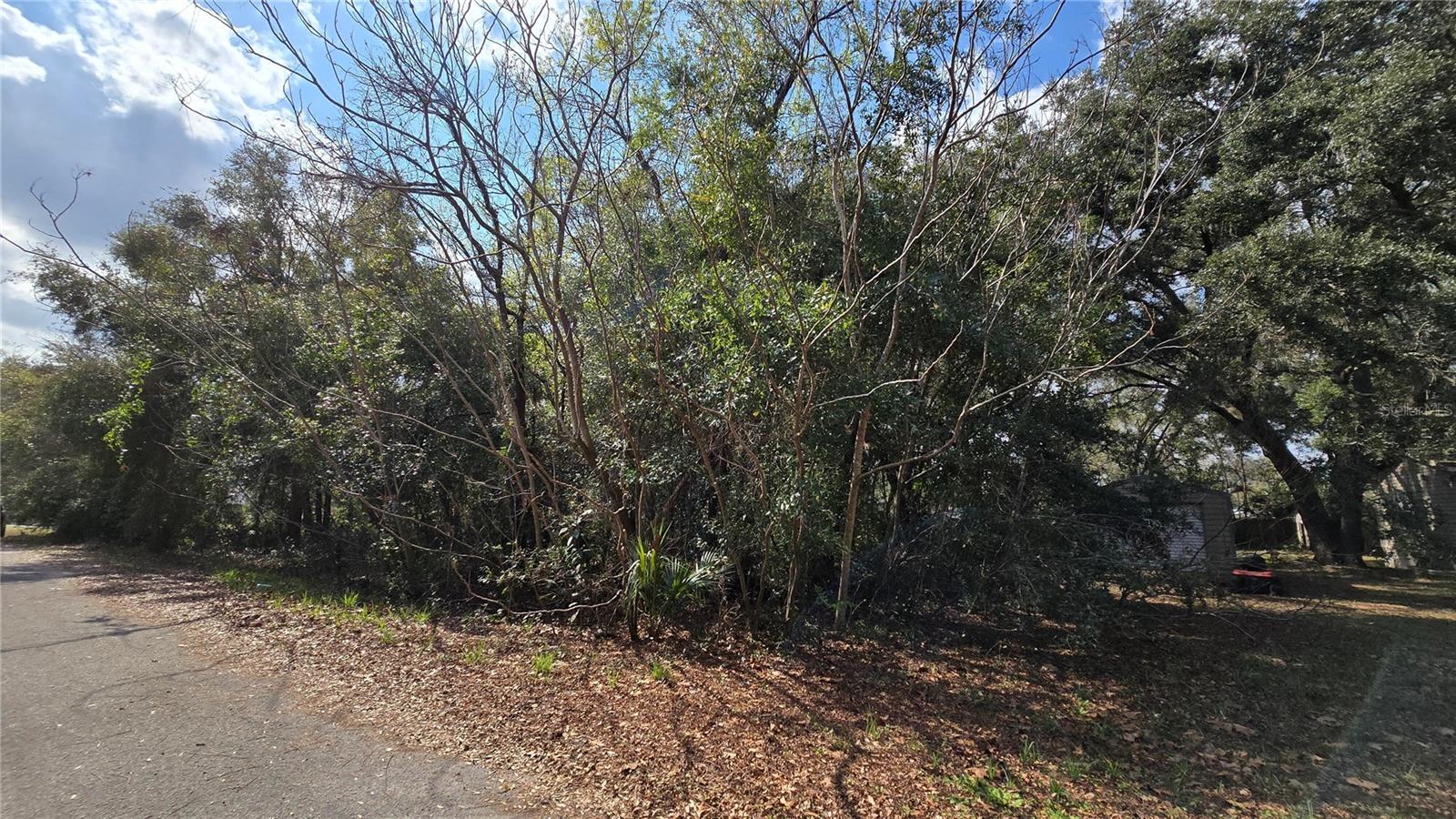 SE 94TH CT, SUMMERFIELD, FL, 34491