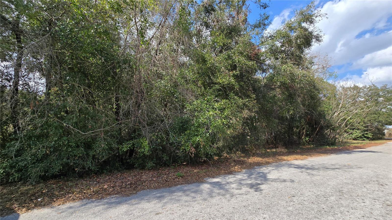 SE 94TH CT, SUMMERFIELD, FL, 34491