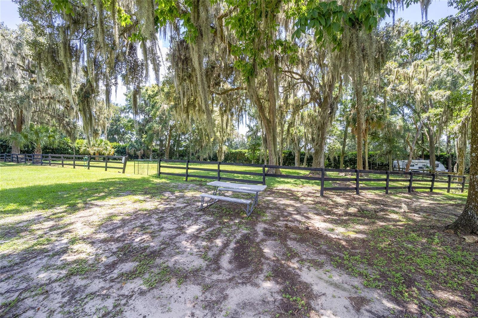 7137 S MAGNOLIA AVE, OCALA, FL, 34476
