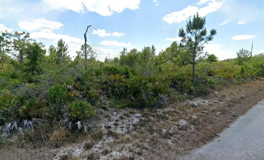 3546 RHODODENDRON RD, LAKE PLACID, FL, 33852