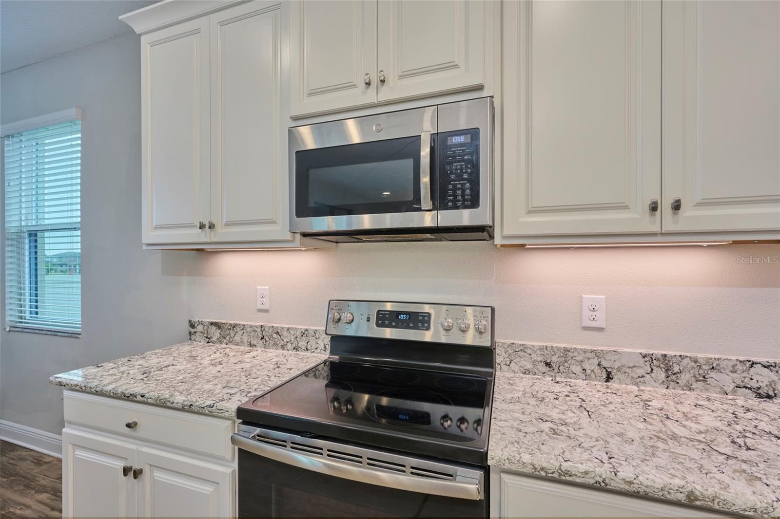8044 LAGO MIST WAY, WESLEY CHAPEL, FL, 33545