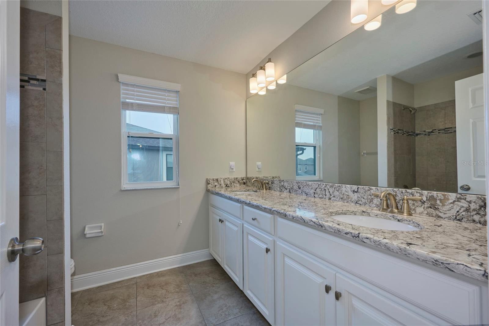 8044 LAGO MIST WAY, WESLEY CHAPEL, FL, 33545